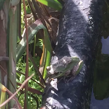 Venkovský dům Casa Roja Vallehermoso